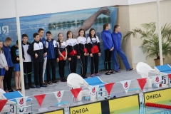 17 — копия